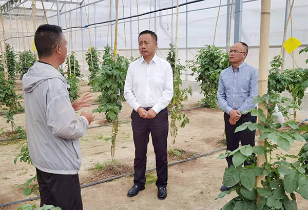 圖片3xg.jpg 圖片3xg.jpg