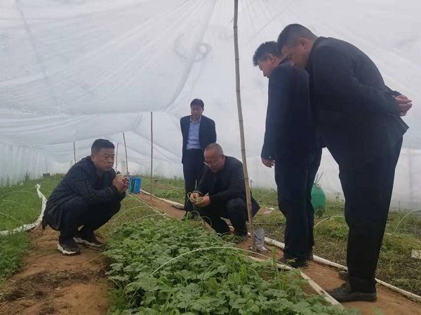 民盟慶城總支開展春耕生產(chǎn)情況調(diào)研2.jpg 民盟慶城總支開展春耕生產(chǎn)情況調(diào)研2.jpg